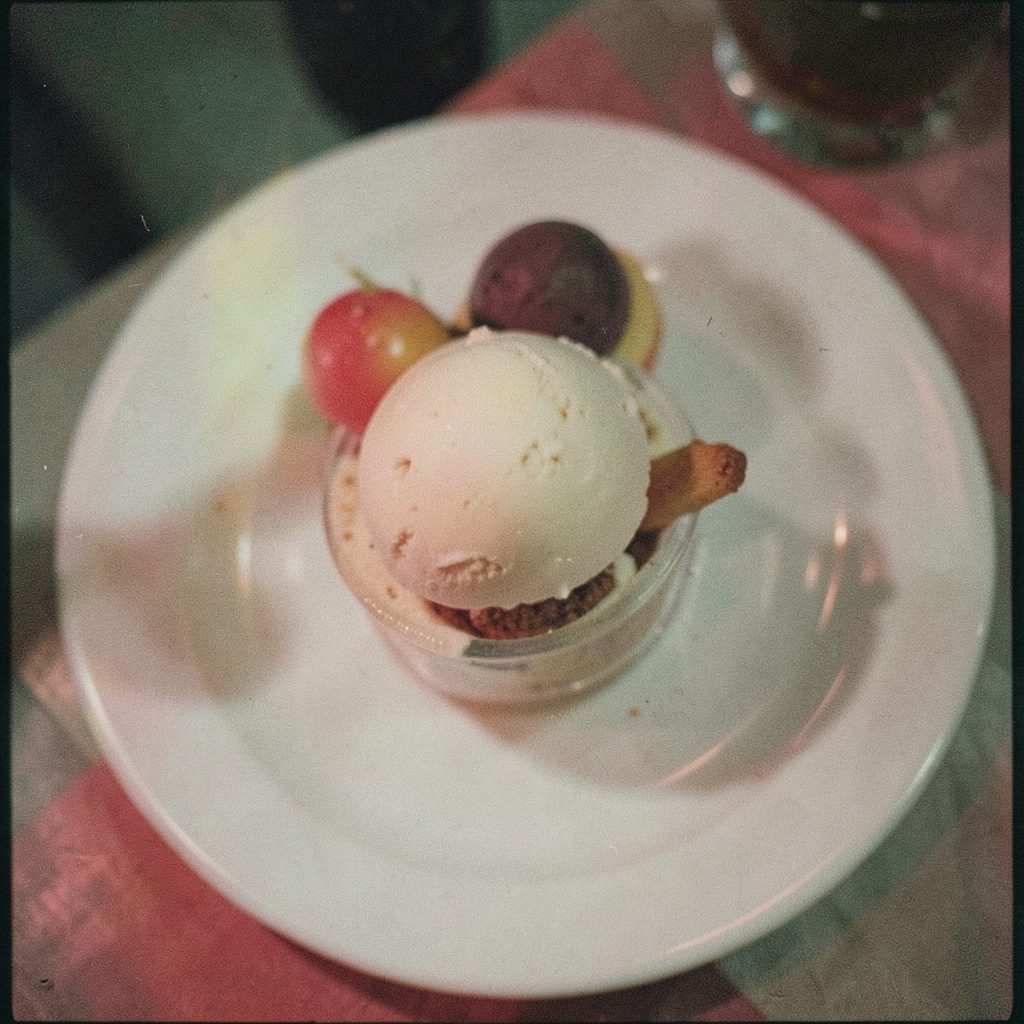 Advanced gelato and sorbetto course display with layered frozen desserts in rich chocolate and cream colors, analog film grain
